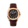 Montre Seikonaut | Brown